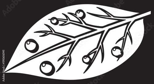 A black and white illustration of a leaf with branches and fruit, depicted from a straightforward viewpoint.