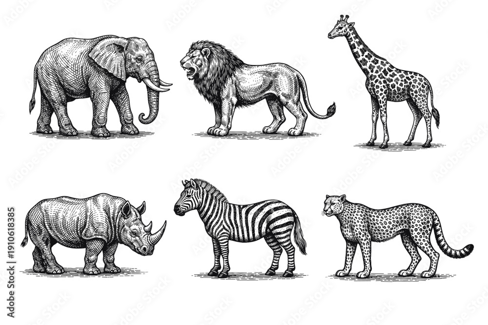 Fototapeta premium Vintage African animals engraving set, retro safari wildlife and exotic beast sketches in woodcut style