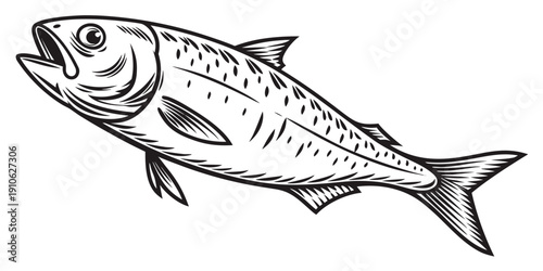 A detailed illustration of a fish with visible scales and fins