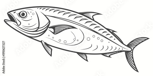 A detailed black and white illustration of a fish with visible internal organs