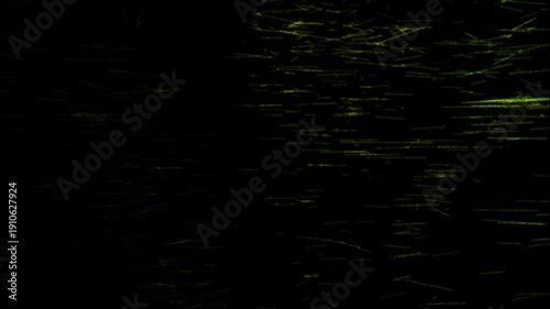 Green screen looping particles animated