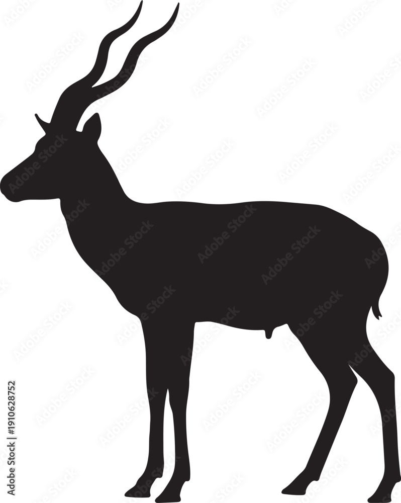 Fototapeta premium Blackbuck on white background.