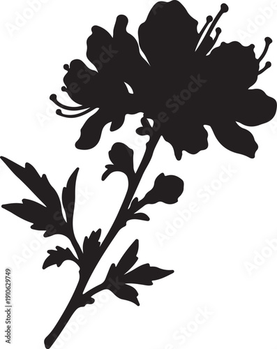 flower putting in silhouette on white background..