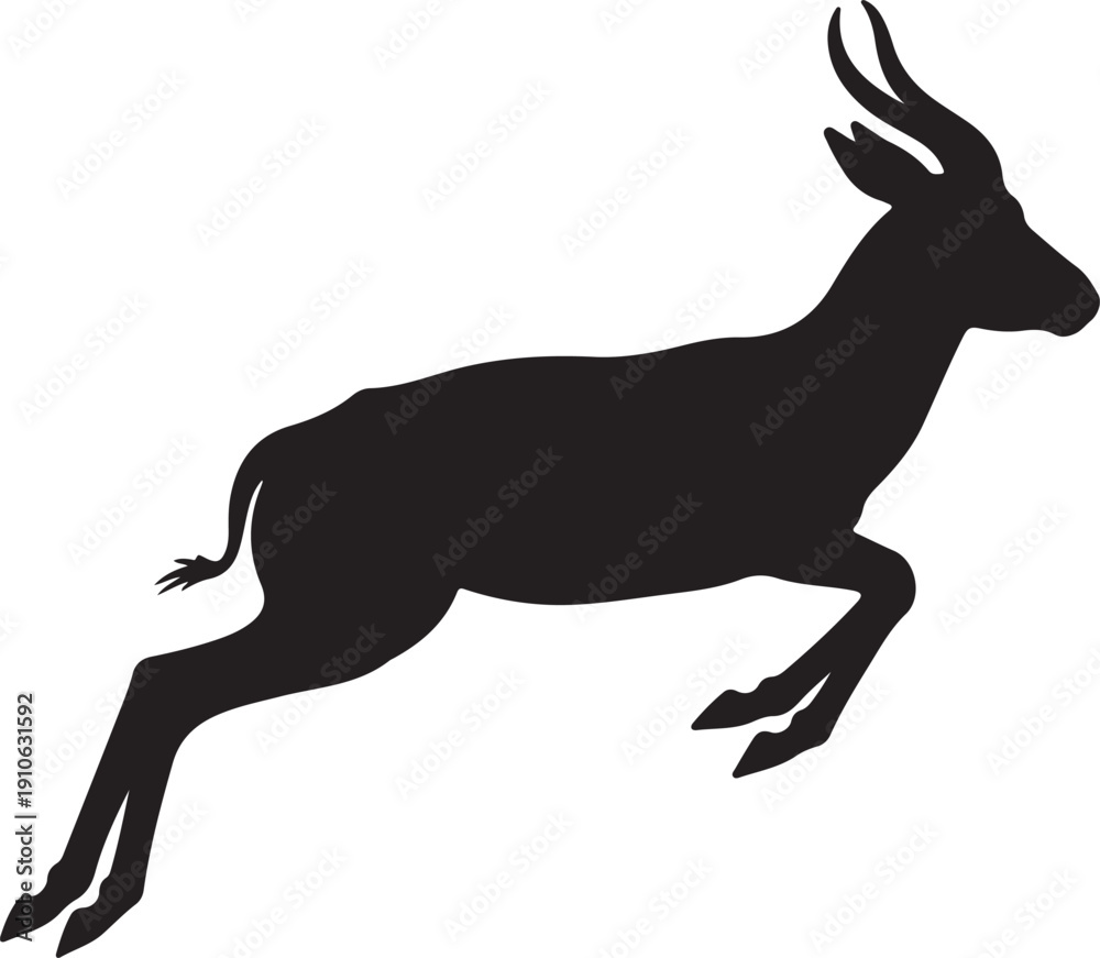 Obraz premium Springbok on white background..