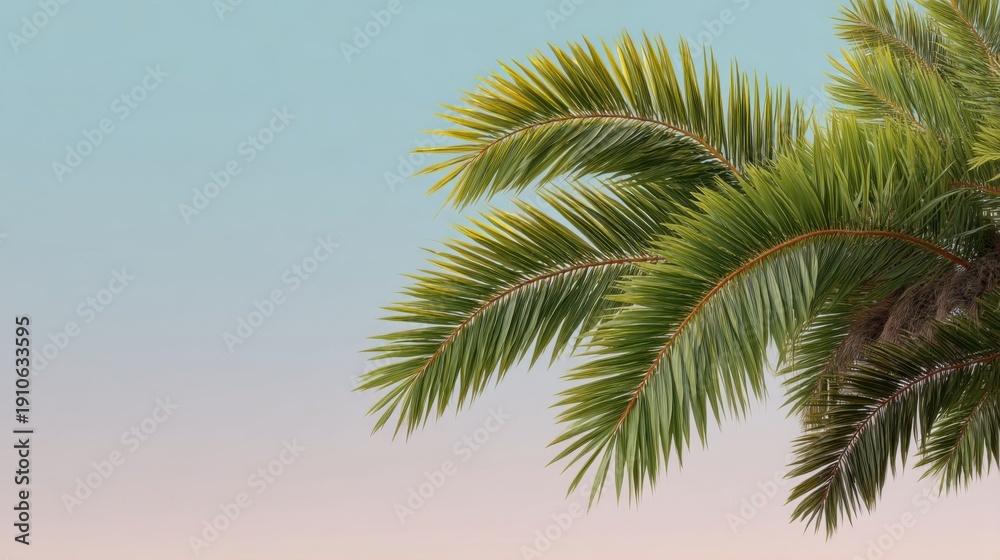 Fototapeta premium Lush Green Palm Tree Leaves Against a Soft Gradient Sky with Cool Blue and Warm Pink Hues, Perfect for Tropical and Summer-Themed Projects