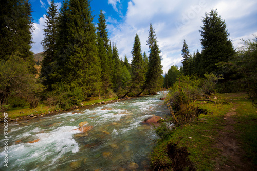 River in a mountain forest in summer in Kyrgyzstan, Issyk-Kul district, Grigorievskoye Gorge