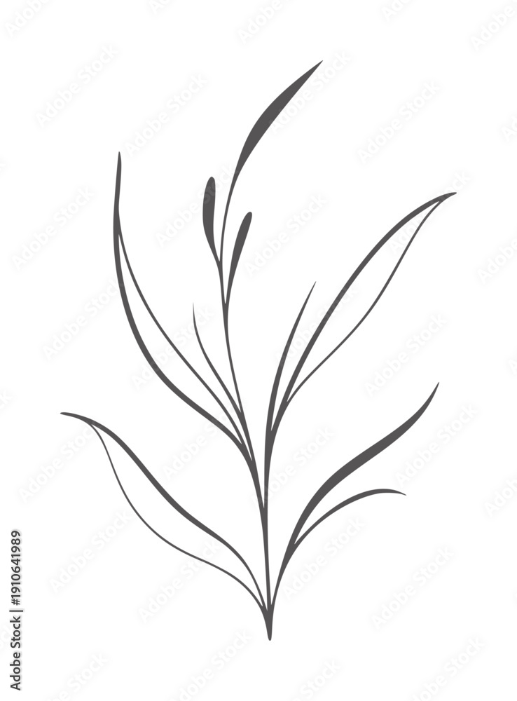 Fototapeta premium Minimalist dark grey botanical with delicate leaves and buds plant