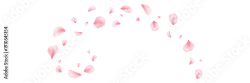 Japan flower wave banner. Spring cherry blossom frame. Sakura petal flying composition. Cosmetic beauty product. Natural decoration. Spa pink rose bg. Valentine romantic card. Vector illustration