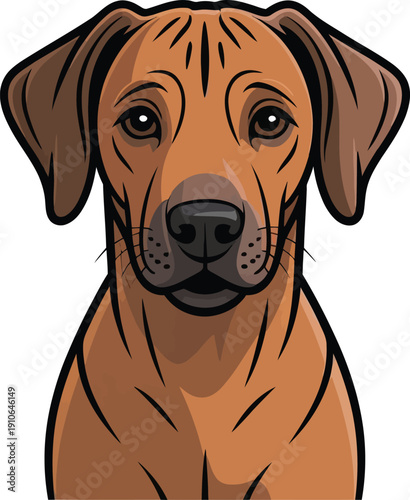 Cute cartoon a illustrator vector Rhodesian Ridgeback