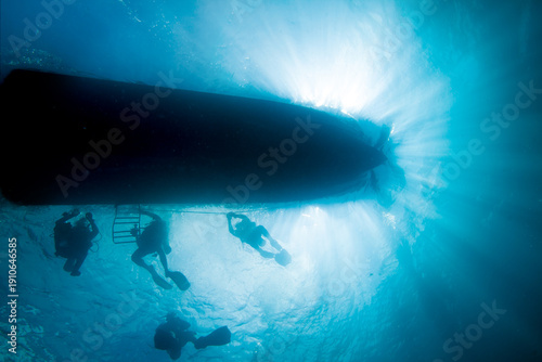 Wallpaper Mural A group of divers returns to the boat after a dive. Torontodigital.ca