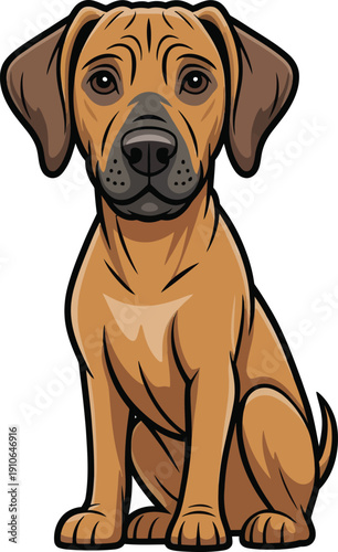 Cute cartoon a illustrator vector Rhodesian Ridgeback