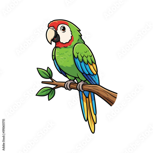 Parrot vector on white