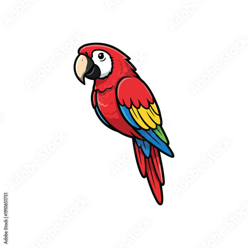 Parrot vector on white 
