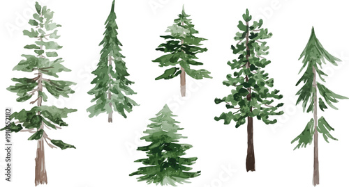 Group of diverse evergreen tree watercolors in various shades of green, with realistic textures and details, isolated on white.