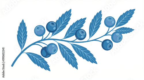 blue berries on a branch with leaves