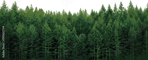 Panoramic background of a dense, dark green forest with a white sky at the top, ideal for nature-themed designs.