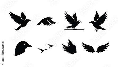 Diverse Avian Silhouettes Set for Nature and Wildlife Projects
