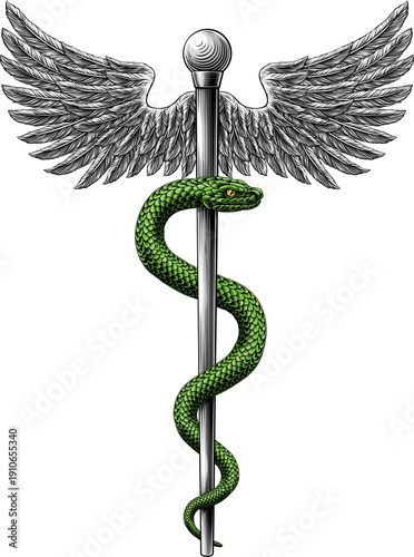 Rod of Asclepius staff medi...