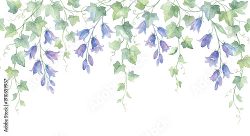 Watercolor illustration, header top border of hanging wild ivy vines and drooping bluebell flowers, soft magical forest vibe, delicate brush strokes, isolated on white background