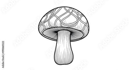Detailed black and white sketch of a single mushroom with patterned cap