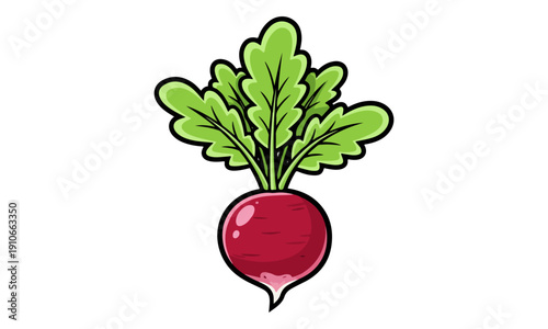 Fresh Radish Cartoon Illustration with Green Leaves on White Background