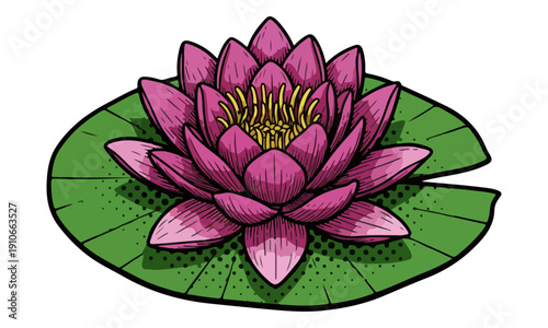 Pink Water Lily Flower on Green Pad Isolated Engraving Illustration