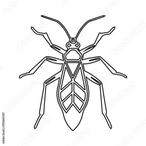 Bug outline illustration