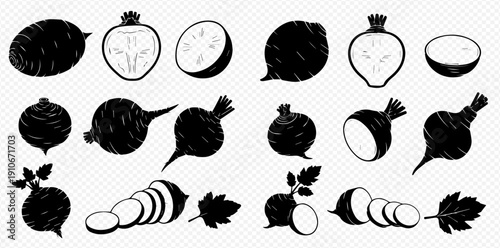 Set of various black and white turnip and radish root vegetable silhouettes with leaves and slices, isolated on a transparent background.