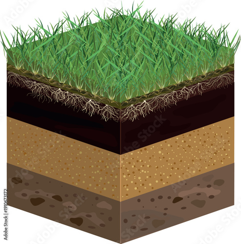  Scheme of lawn installation, revealing layers soil. Lawn profile