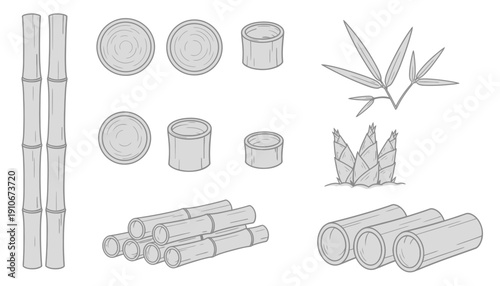 Bamboo sticks and logs illustration set on white background.
