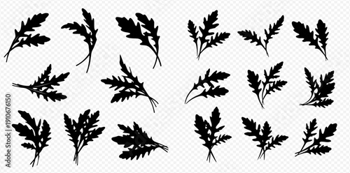 Set of black silhouettes of arugula leaves, fresh green herb, healthy food ingredient.