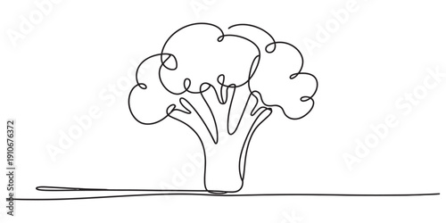 Continuous line drawing of a fresh broccoli floret isolated on a white background. Vector, illustration