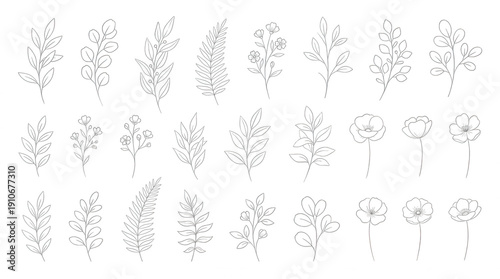 Collection of white line botanical and flowers on black background floral leaves branches