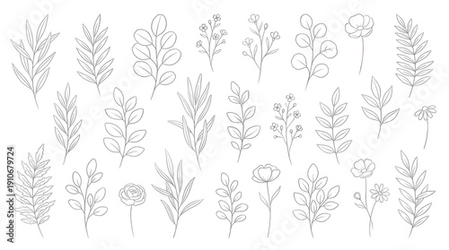 White line botanical and flowers on black background floral leaves branches