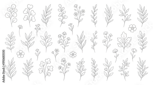 White outline botanical and flowers on black background floral leaves 1 branches