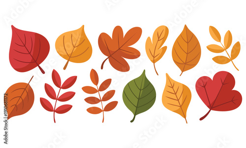 Vector graphics of colorful autumn leaves suitable for seasonal decoration fall background nature art and warm harvest inspired visuals