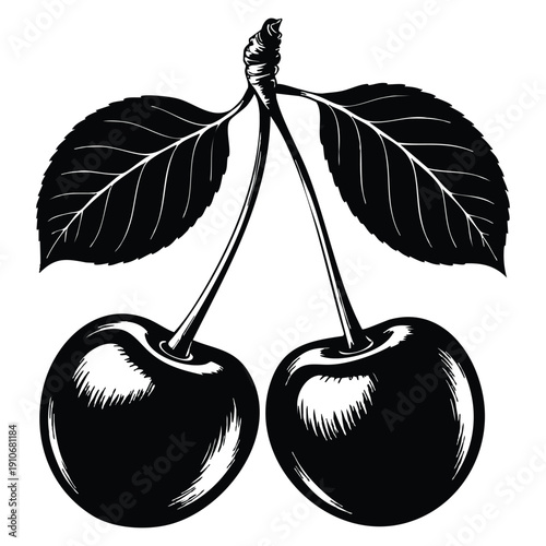 Vector graphics showing silhouette of summer cherry berry suitable for food branding fruit decoration seasonal patterns and organic product visuals