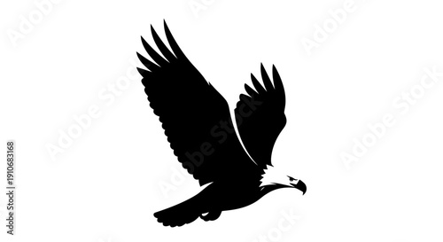 Black Silhouette of Eagle in Flight.