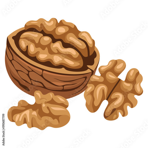 Vector illustration of whole walnut half walnut and walnut kernel shown as a walnut icon on white background suitable for food packaging nutrition and organic product visuals
