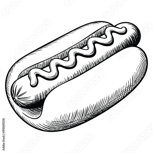 Vintage etching style hot dog vector food illustration hand drawn sketch draft drawing on white background ideal for retro food packaging menu design and culinary artwork