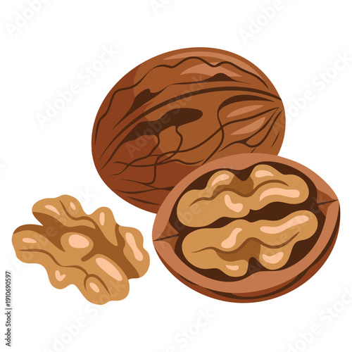 Walnut icon vector illustration featuring whole walnut half a walnut and walnut kernel isolated on white background perfect for food ingredient nutrition and healthy lifestyle themes