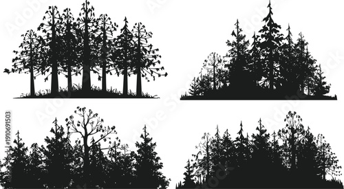 Forest landscape silhouettes with diverse tree shapes, dense foliage, natural woodland scenery, ecological environment, wilderness illustration design