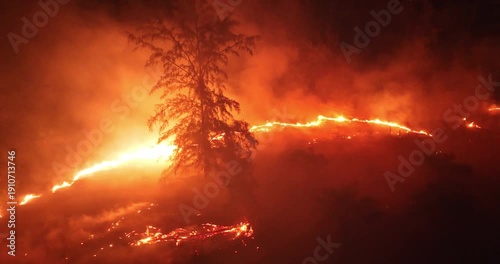 Forest wildfire at night, bright orange flames and heavy smoke consuming trees and landscape, dramatic aerial view highlighting environmental destruction and climate crisis. Aerial drone panorama
