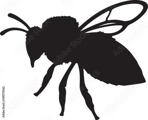 Bee Silhouette: A detailed silhouette of a bee, its wings outstretched and body poised, epitomizes nature's tiny marvel, a testament to its beauty, resilience, and vital role.
