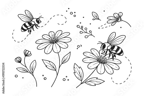 Bees pollinating flowers in black and white line art drawing
