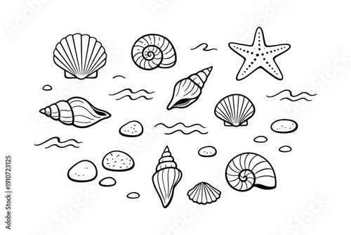 Black and white seashell and starfish illustration with waves and pebbles