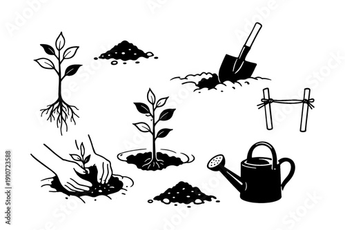 Gardening essentials: planting, soil, watering can, tools, growth stages
