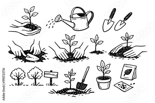 Gardening basics: tools, planting, and growing techniques illustrated
