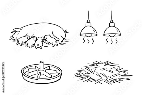Piglets feeding from sow and farm elements including heating lamps, feeder, and hay