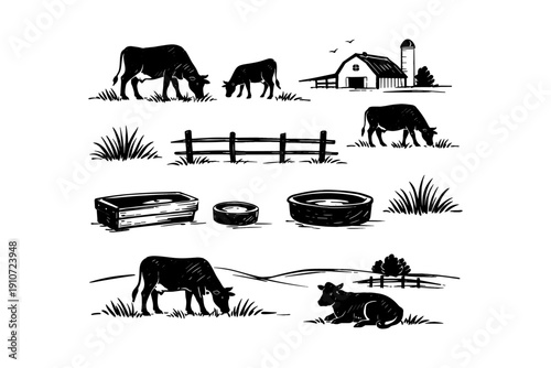 Rustic farm illustrations with cows, barn, and fencing